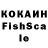 А ПВП крисы CK Dariya Shabani