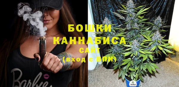 spice Верхний Тагил