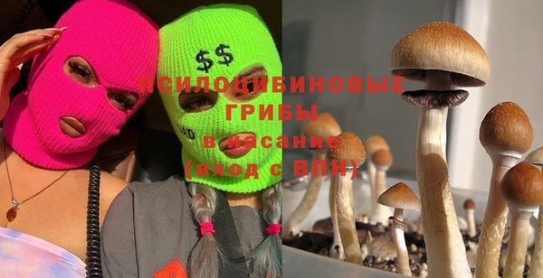 первитин Верея
