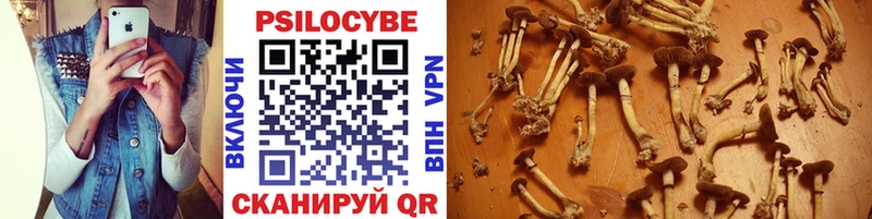 Галлюциногенные грибы мицелий Гвардейск
